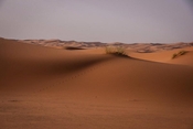 Trail across the dune